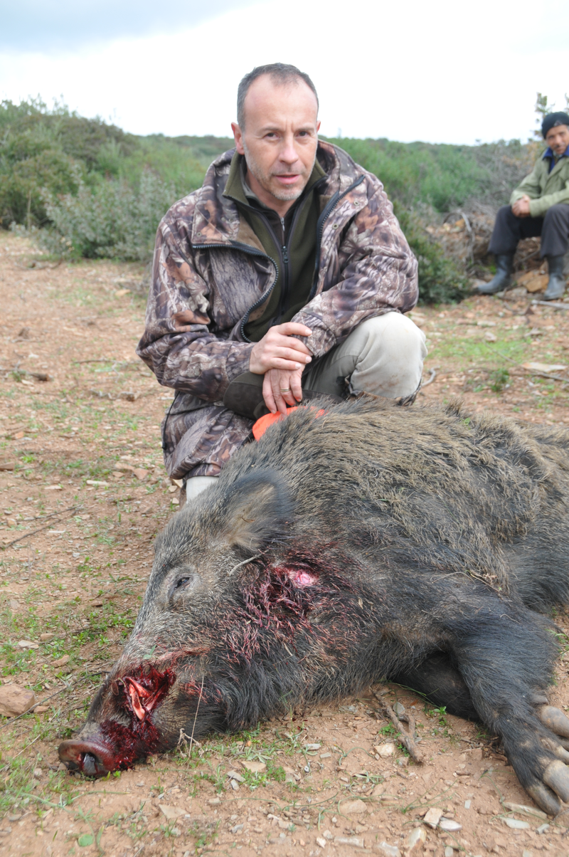 Chasse aux sangliers Tunisie
