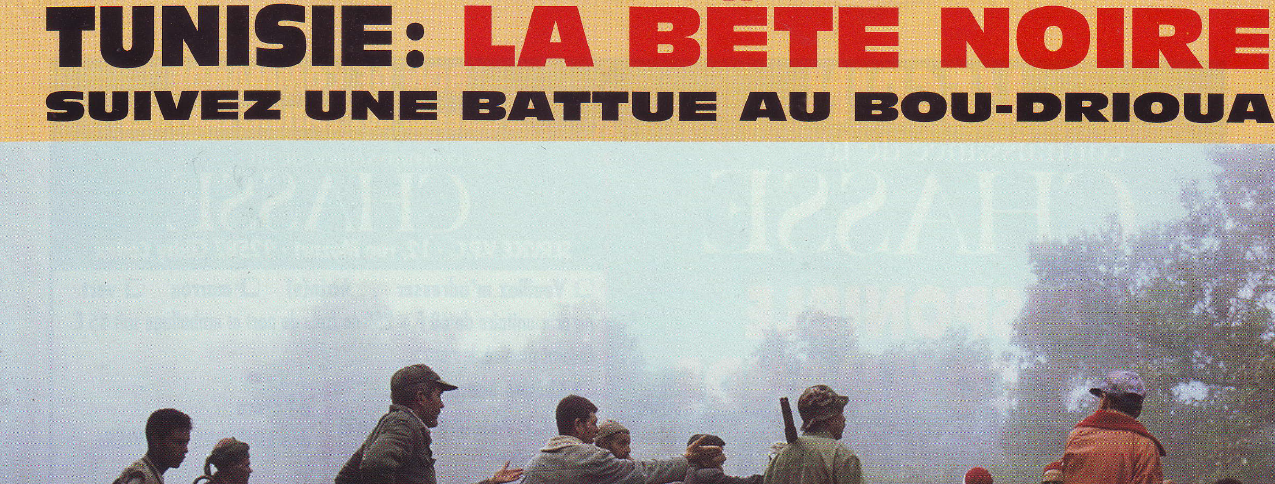 La bête noire de Khroumirie