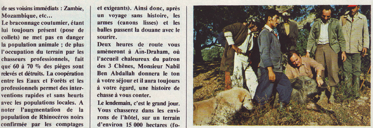 Connaissance de la chasse Halouf Tunisien