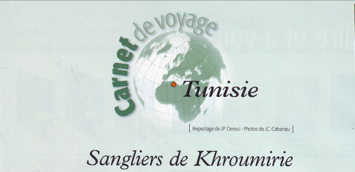 Sangliers de Khroumirie