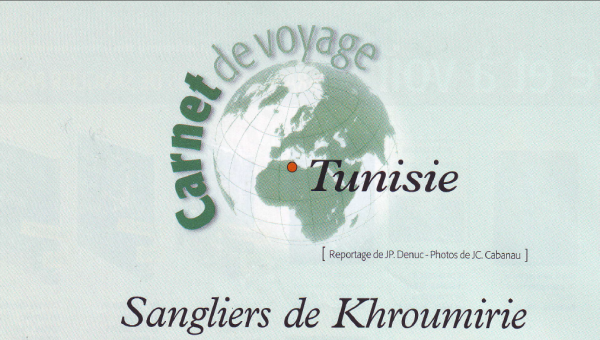 Sangliers de Khroumirie