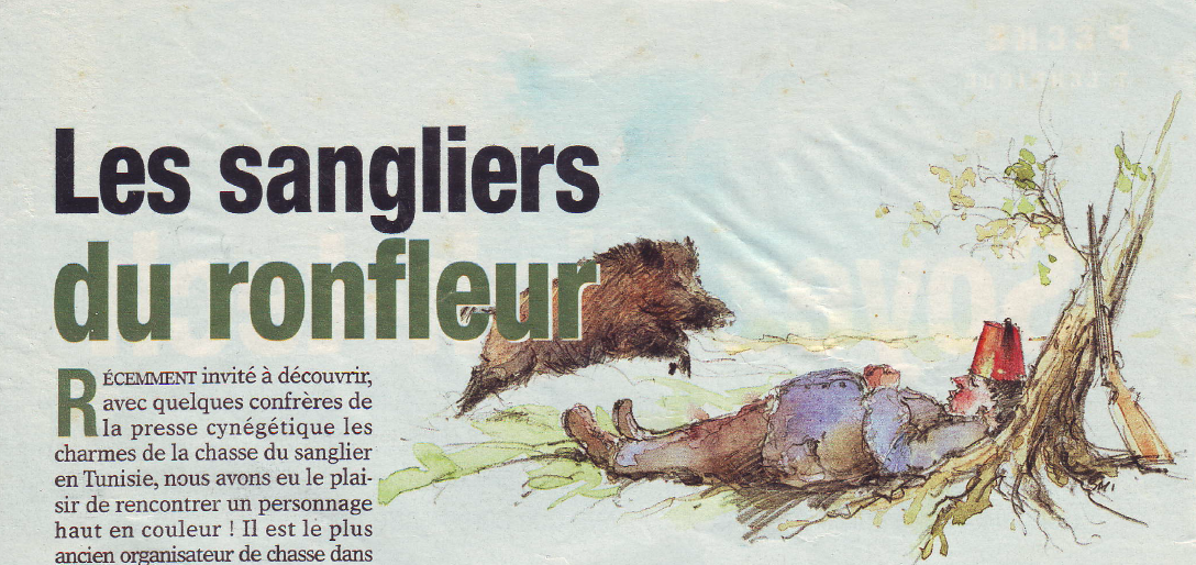 Les sangliers du ronfleur