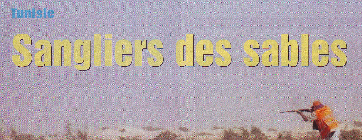 Les Sangliers des sables