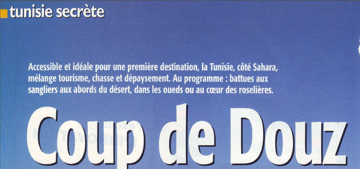 les sangliers aux portes du désert