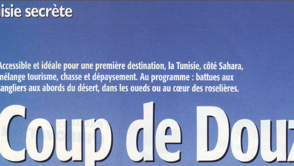 les sangliers aux portes du désert