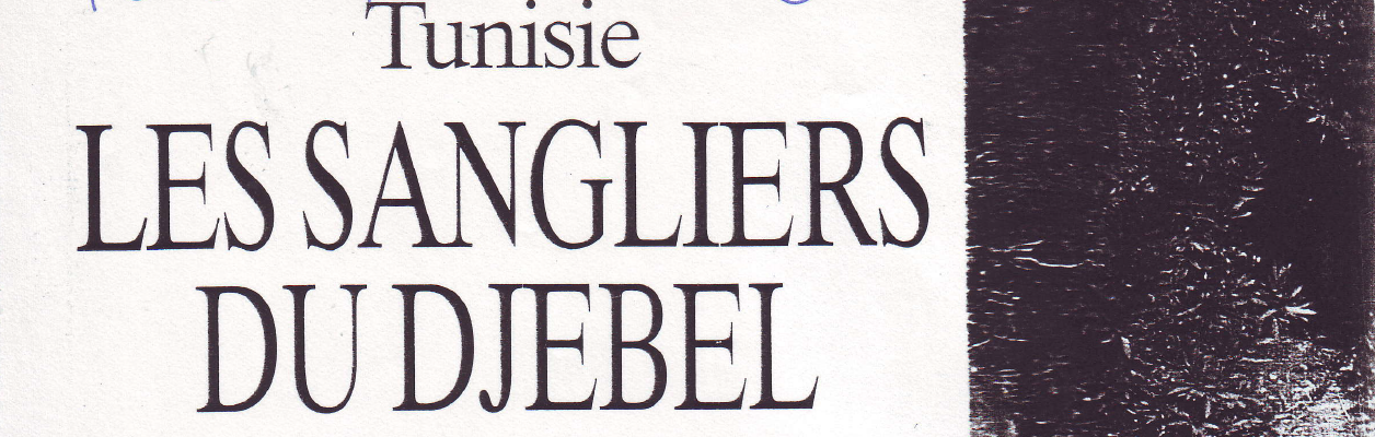 Les sangliers du djebel